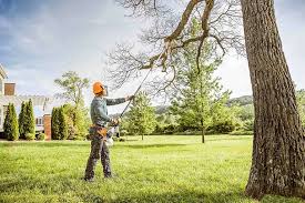 Leaf Removal in Augusta, ME